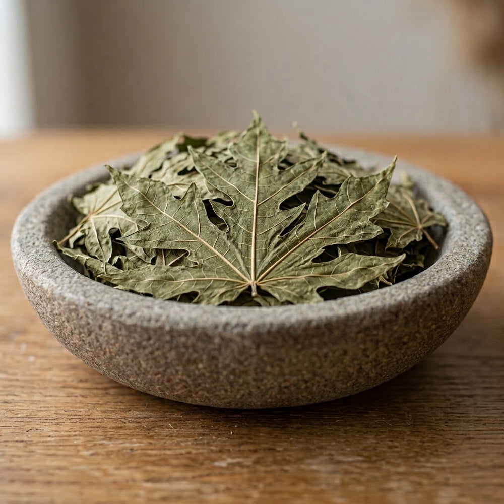 Hoja de Papaya